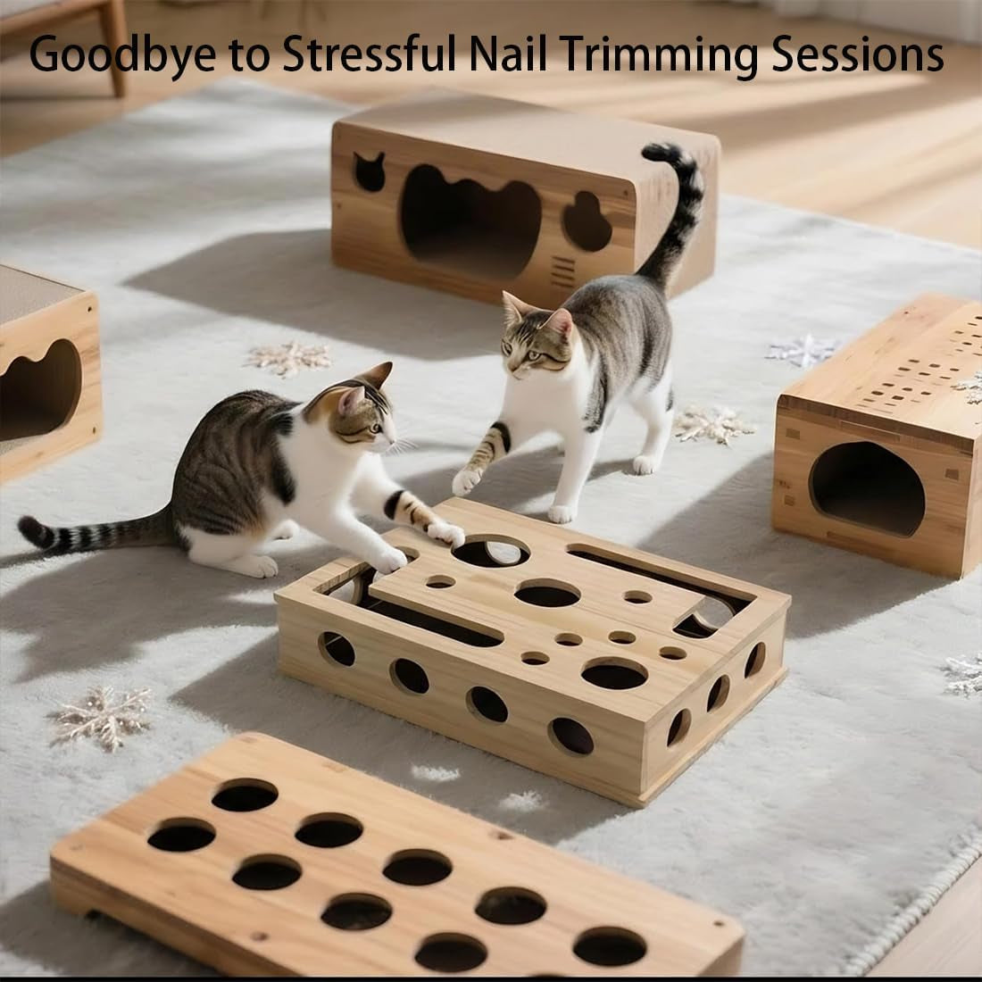 Cat Scratch Puzzle Box